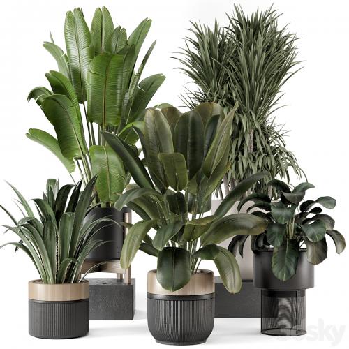 Indoor Plants in Ferm Living Bau Pot Large - Set 1947