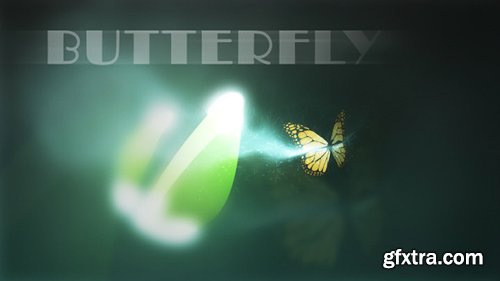 Videohive Butterfly Logo Reveal 6280982