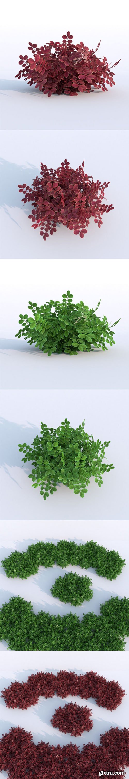 CgTrader - Plant Berberys Garden VR / AR / low-poly 3d model