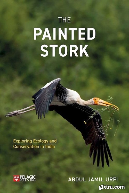 The Painted Stork: Exploring Ecology and Conservation in India